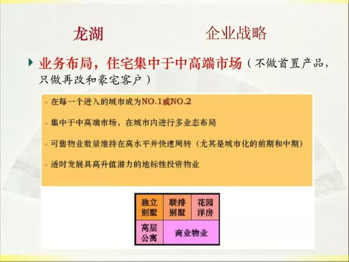 2019年龙湖房产项目实施策划与公关服务方案