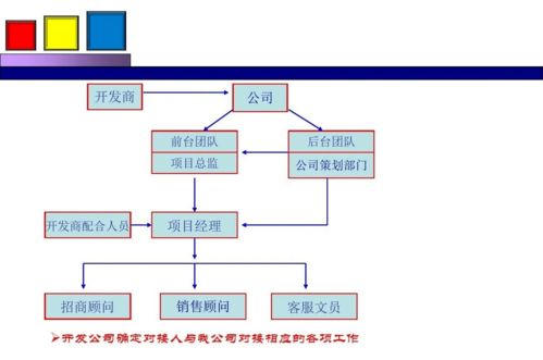 劲花项目营销策划方案 项目策划与公关服务的整合策略